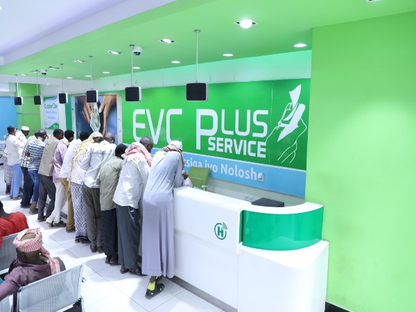 Hormuud gains first Somali spectrum licence