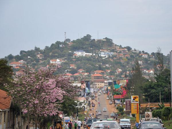 Paratus launches Starlink satellite services in Uganda