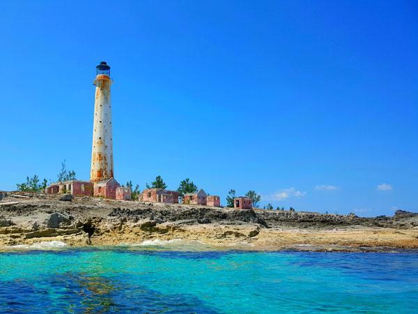 Starlink adds Bahamas licence to its collection