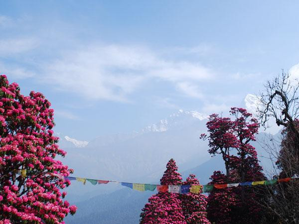 Vianet selects CCS to extend fibre network in Nepal