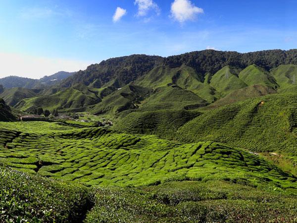 Kacific switches to AWS for rural connectivity in Asia-Pac