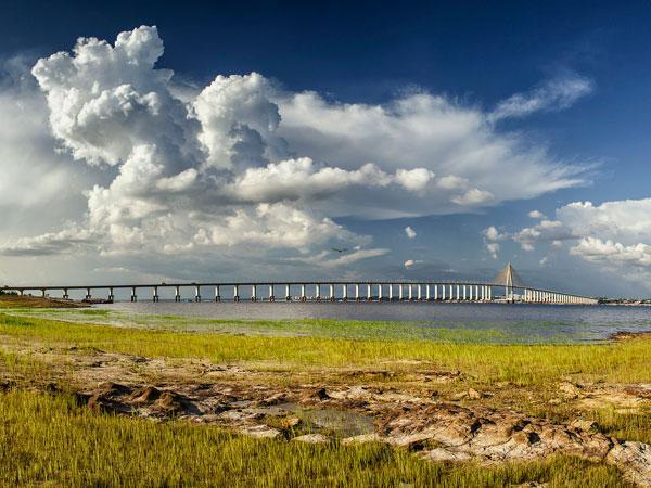 Vivo and Claro battling for 4G dominance in Brazil - Tutela