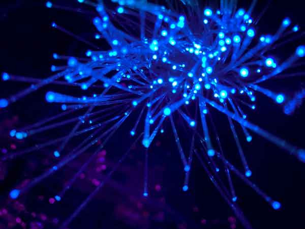 Empowering Digital Transformation with Network Digital Map