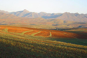 Lesotho regulator partners with CTM360 for cybersecurity Lesotho regulator partners with CTM360 for cybersecurity