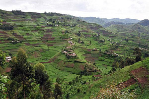 New comms-focused partnership targets Uganda’s hospitality sector New comms-focused partnership targets Uganda’s hospitality sector