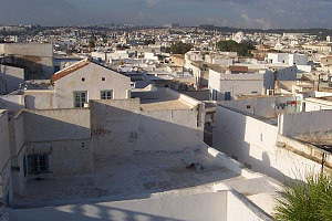 Tunisian telcos win 5G licences, eye 2025 launch Tunisian telcos win 5G licences, eye 2025 launch