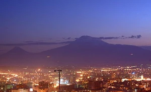 Armenia denies reports of Viva stake sale