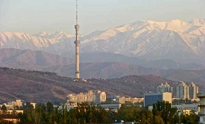Kyrgyz govt steps in to buy Veon’s stake in Beeline Kyrgyzstan