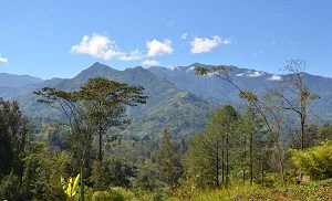 Court overturns Starlink ban in Papua New Guinea