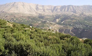 Lebanese government decides to manage the country's mobile networks