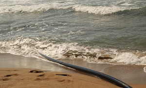 Damage to Submarine Cables: Claims and Remedies