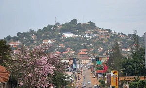 Bayobab interconnects Uganda and Kenya with new fibre route