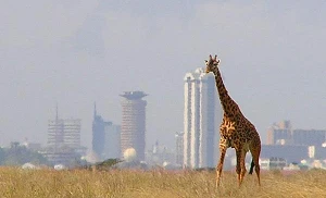 Stanchion and TaiFintech collaborate for Kenyan payment offering