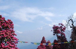 DataHub and Hosted AI plan AI cloud offering in Nepal