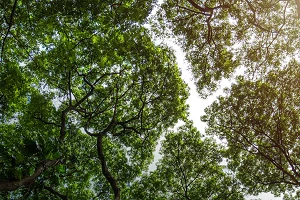 Interview: GSMA’s Steven Moore on the industry’s Net Zero goals