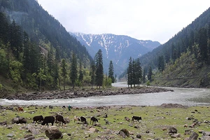 Pakistan lays out regional spectrum auction plans