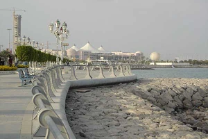 TDRA extends licences of e& and du for 20 years