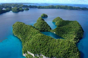 TPN taps Ciena to boost Echo and Tabua subsea cables